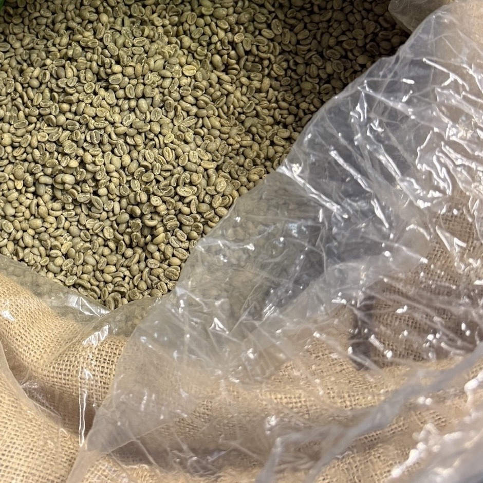 Green coffee beans inside a jute intake sack
